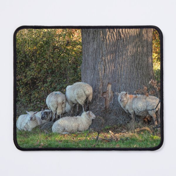 Item preview, Mickleton designed and sold by andrewroland.