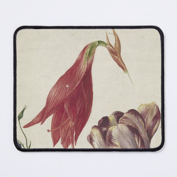 Item preview, .tulp, akelei en amaryllis. designed and sold by marcilio.