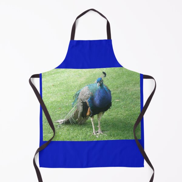Item preview, Pretty Posing Peacock Photograph designed and sold by naturegallery.