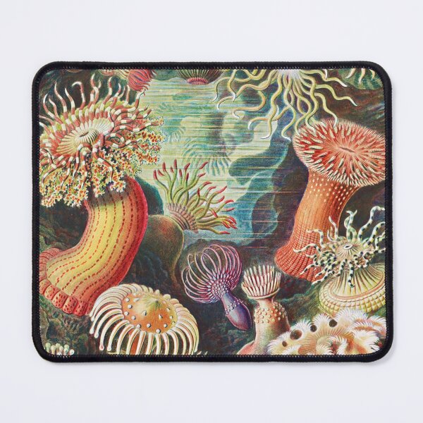 Item preview, Artforms in Nature - Actiniae Seeanemonen by Ernst Haeckel designed and sold by Freewheeling.