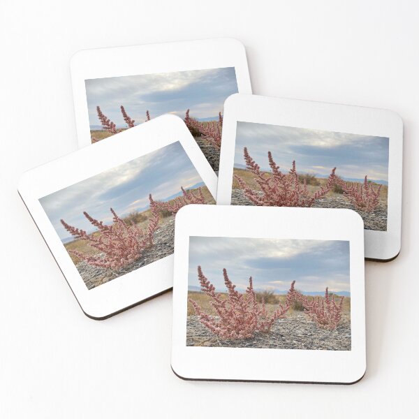 Item preview, Desert designed and sold by Matthew Carroll.