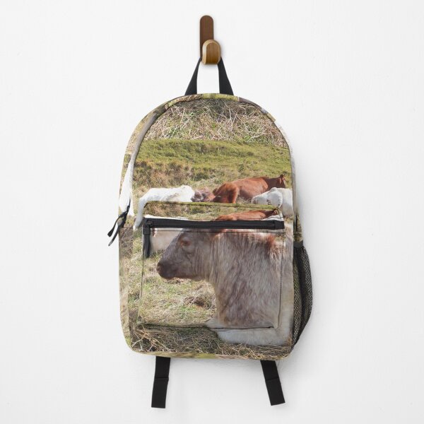 Item preview, Shorthorn cattle designed and sold by pinkal.