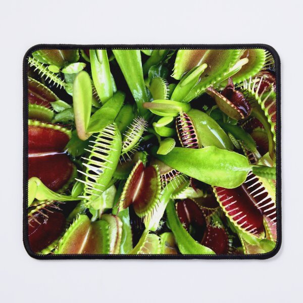 Item preview, venus fly trap designed and sold by iconic-arts.
