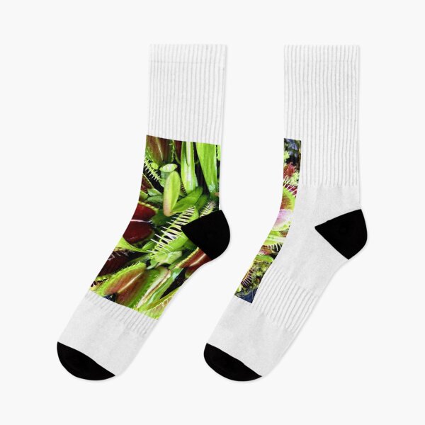 Item preview, venus fly trap designed and sold by iconic-arts.