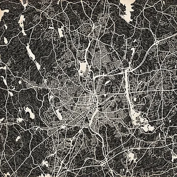Vorschaubild zum Design Worcester map Massachusetts Ink lines von InkMaps