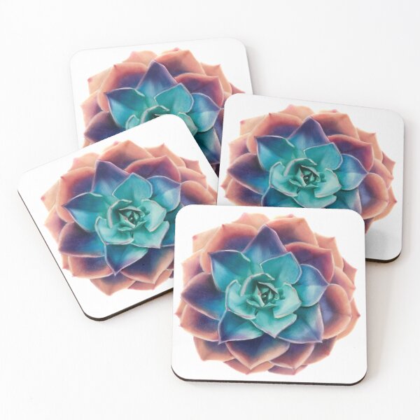 Item preview, Succulent designed and sold by Haley Lin.