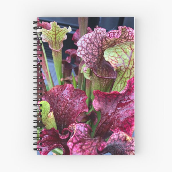 Item preview, sarracenia designed and sold by iconic-arts.