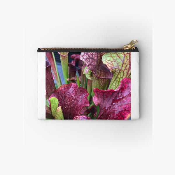 Item preview, sarracenia designed and sold by iconic-arts.