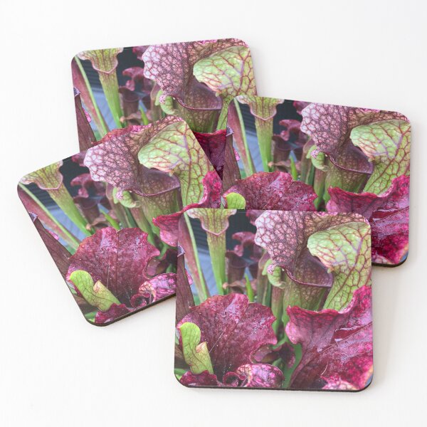 Item preview, sarracenia designed and sold by iconic-arts.