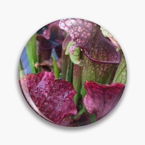 Item preview, sarracenia designed and sold by iconic-arts.