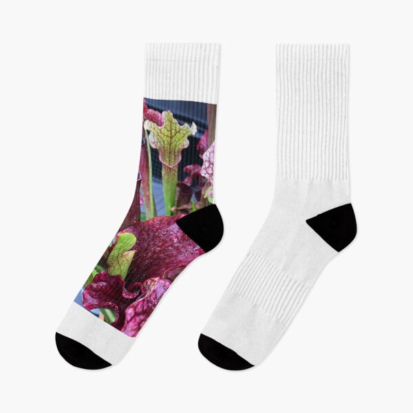 Item preview, sarracenia designed and sold by iconic-arts.