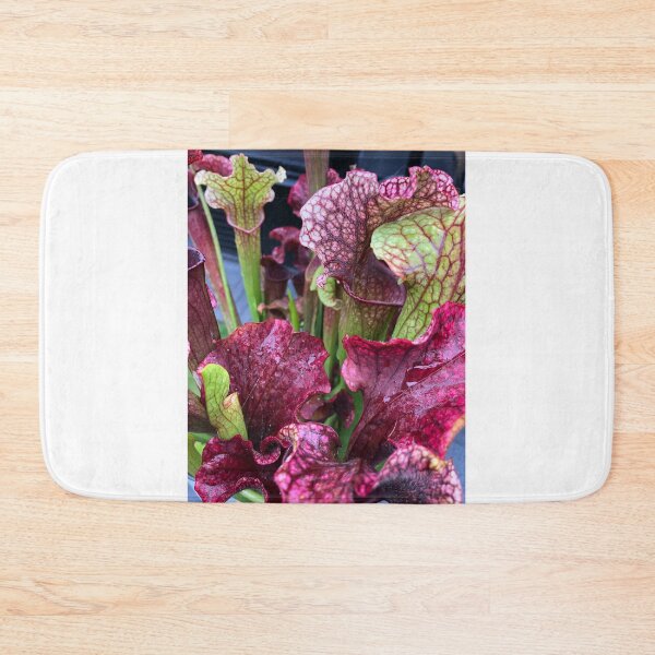 Item preview, sarracenia designed and sold by iconic-arts.