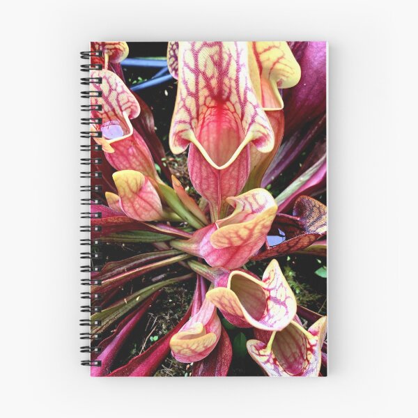 Item preview, sarracenia purpurea designed and sold by iconic-arts.