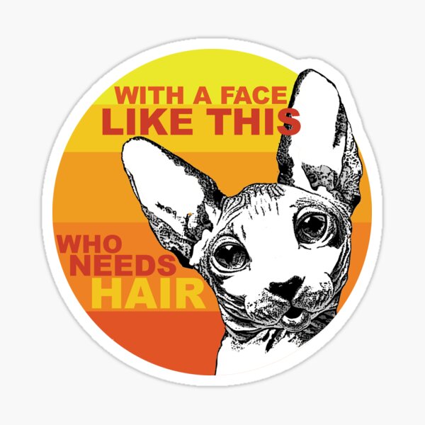 Who needs hair, funny Sphynx drawing, husband gift Sticker