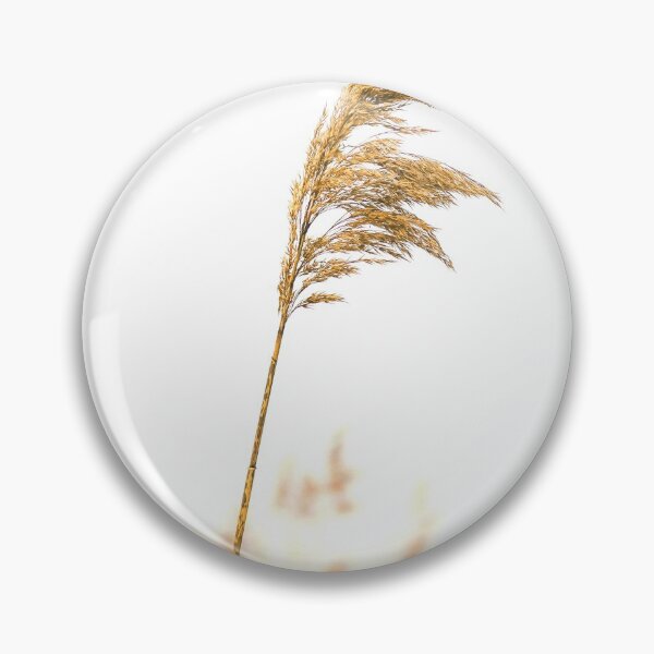 Item preview, Pampas Grass 2 designed and sold by Shawa Shop.