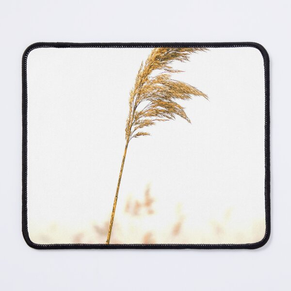 Item preview, Pampas Grass 2 designed and sold by Shawa Shop.