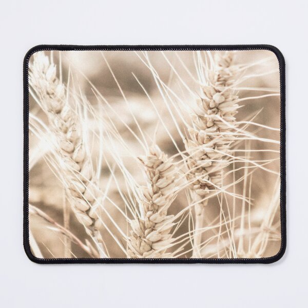Item preview, Pampas Grass 3 designed and sold by Shawa Shop.