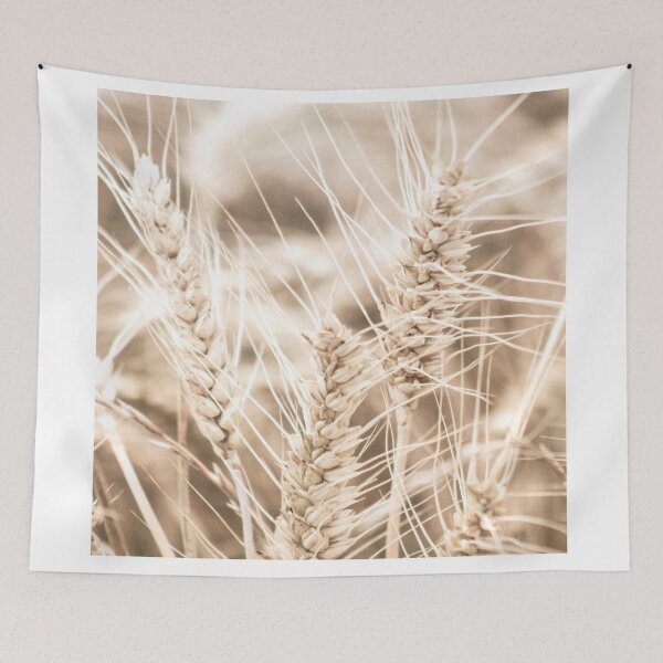 Item preview, Pampas Grass 3 designed and sold by Shawa Shop.