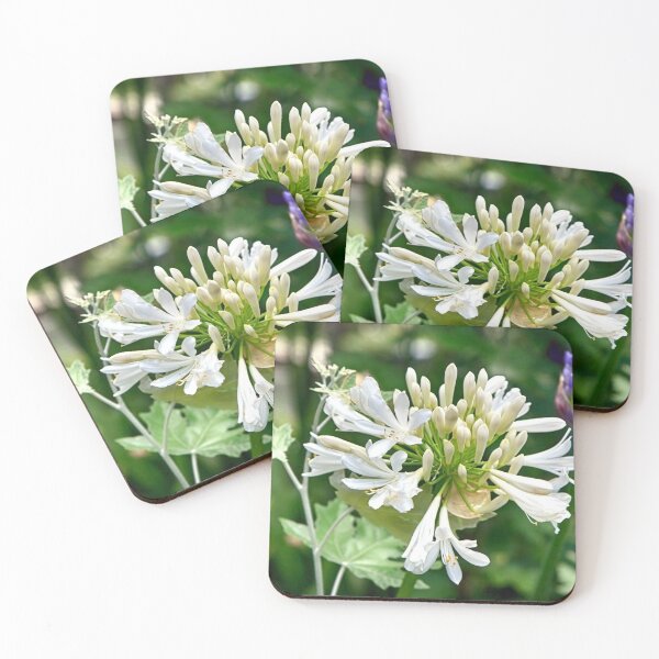 Item preview, White Lily of the Nile designed and sold by NunoPires.