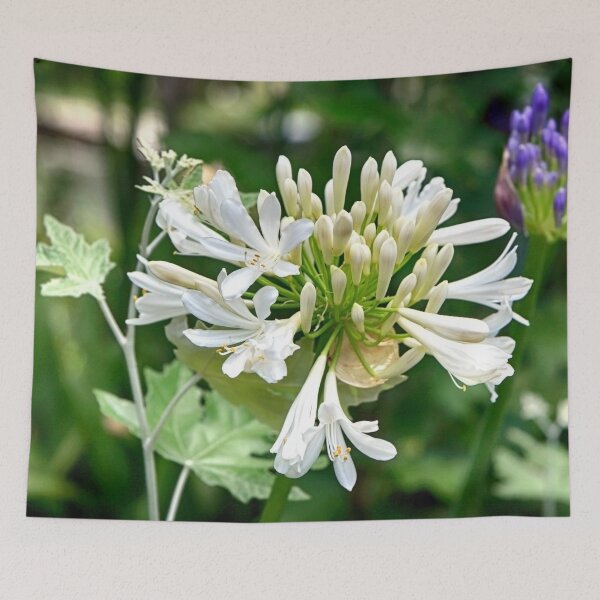 Item preview, White Lily of the Nile designed and sold by NunoPires.