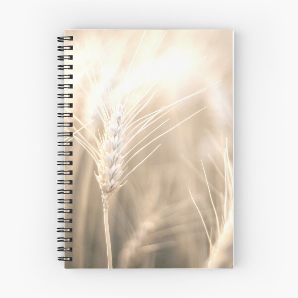 Item preview, Pampas Grass 5 designed and sold by Shawa Shop.
