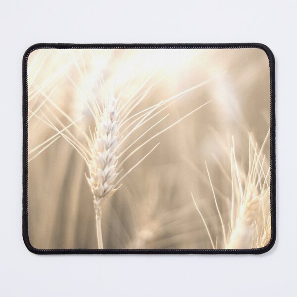 Item preview, Pampas Grass 5 designed and sold by Shawa Shop.