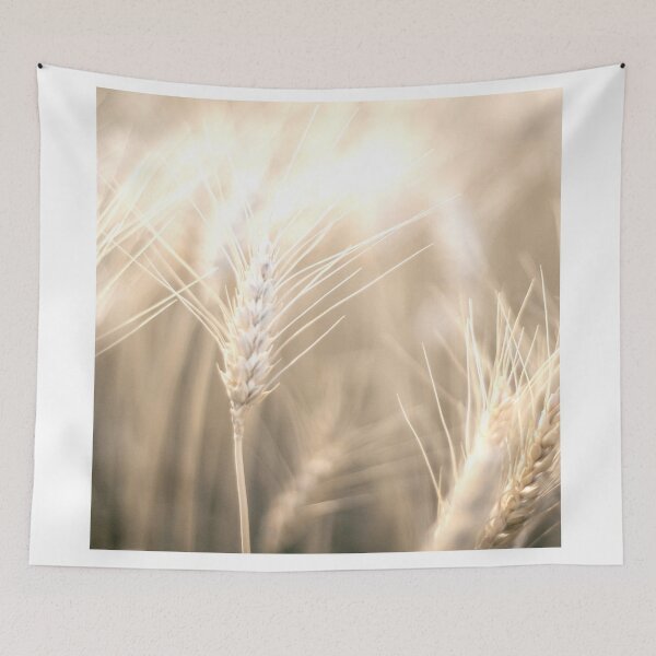 Item preview, Pampas Grass 5 designed and sold by Shawa Shop.