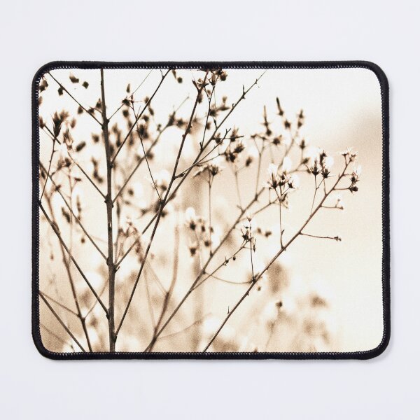 Item preview, Pampas Grass 6 designed and sold by Shawa Shop.