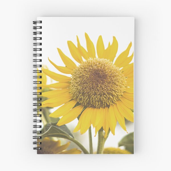 Item preview, Sunflower designed and sold by Shawa Shop.