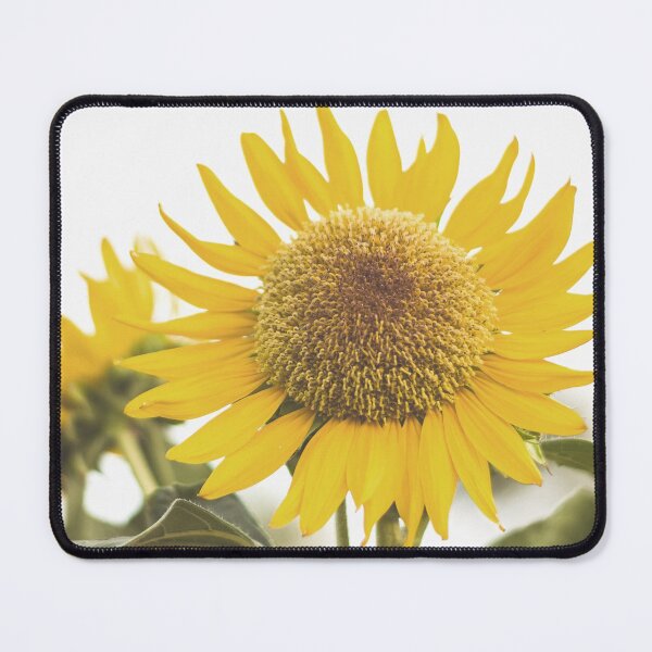 Item preview, Sunflower designed and sold by Shawa Shop.