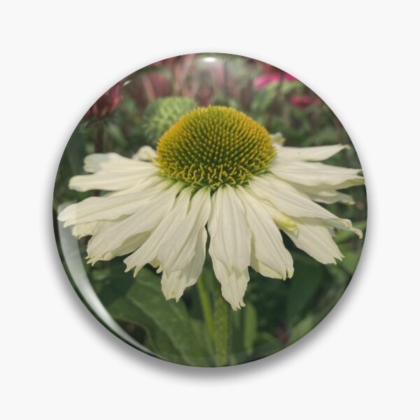 Item preview, Cream Echinacea Flower Photography designed and sold by OByD.