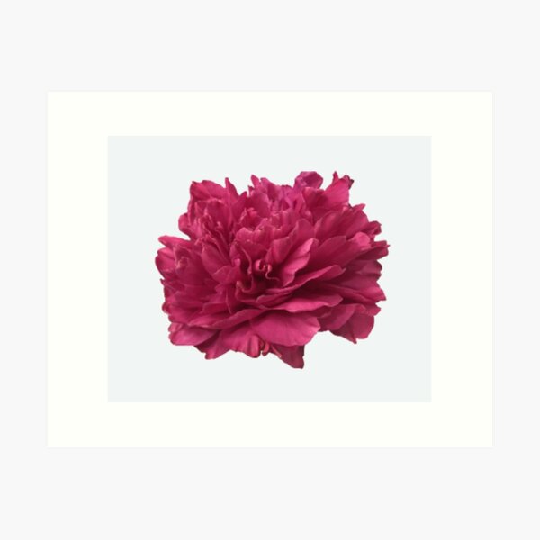 Item preview, Hot Pink Peony Close-up designed and sold by InalterataArt.