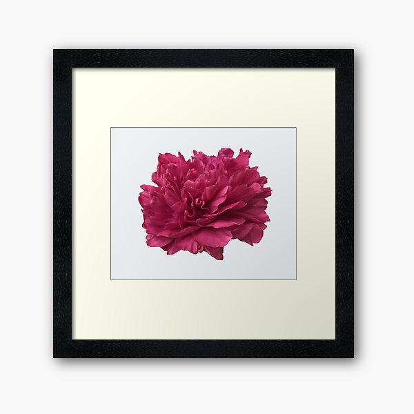 Item preview, Hot Pink Peony Close-up designed and sold by InalterataArt.