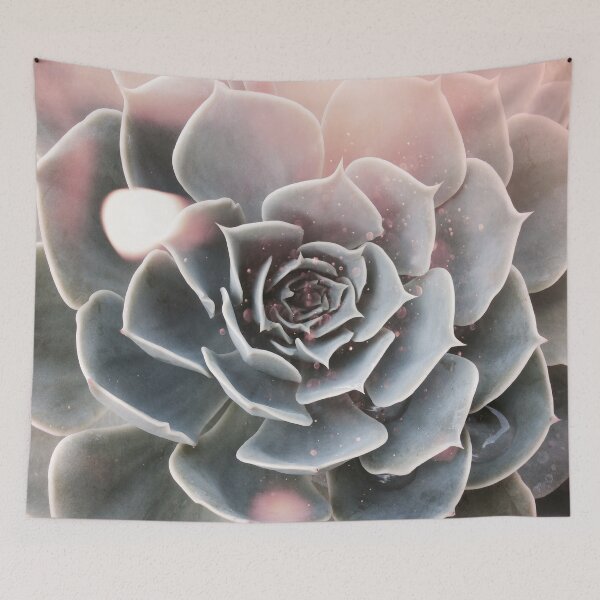 Item preview, Shiny Echeveria designed and sold by cafelab.