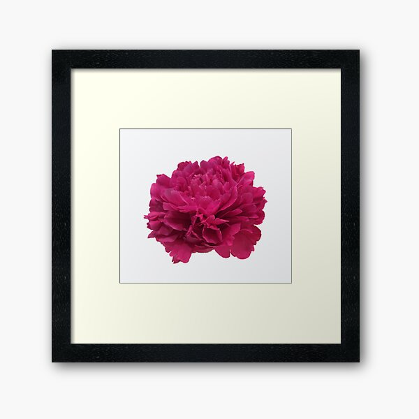Item preview, Hot Pink Peony Close-up designed and sold by InalterataArt.