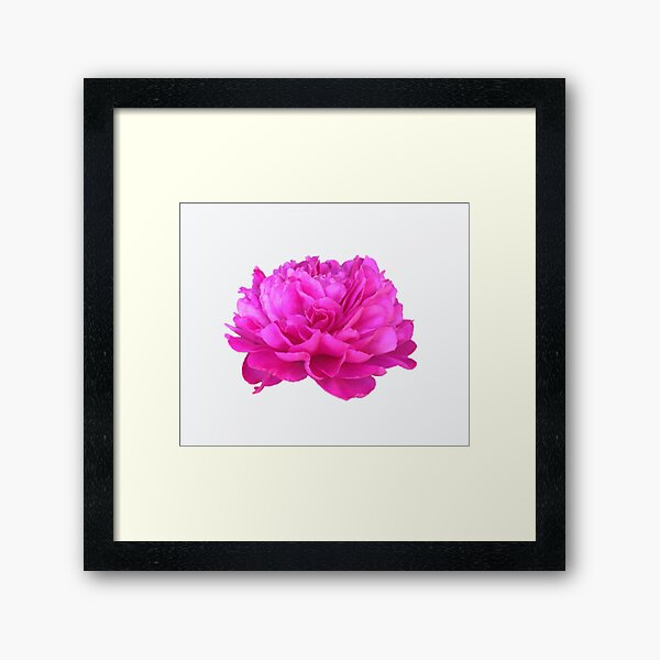 Item preview, Bright Pink Peony Close-up designed and sold by InalterataArt.