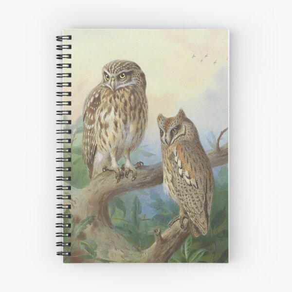 Item preview, beautiful owls. designed and sold by marcilio.