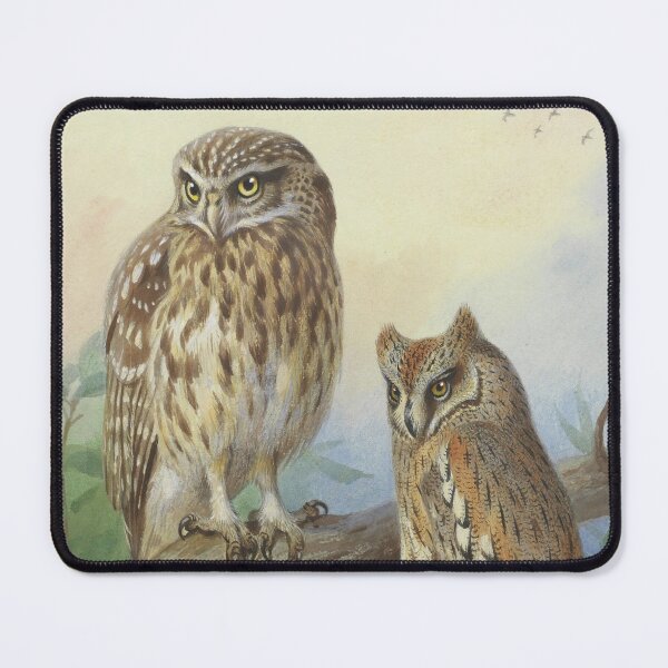 Item preview, beautiful owls. designed and sold by marcilio.
