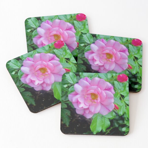 Item preview, Last roses of summer designed and sold by Shulie1.