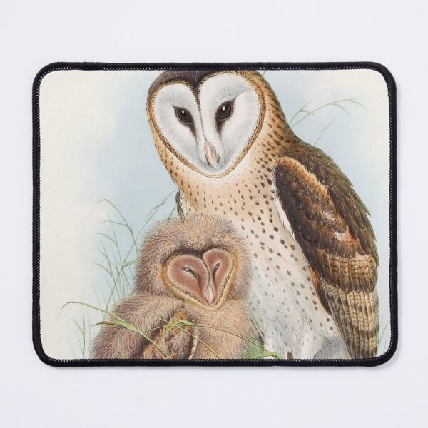 Item preview, beautiful owl with the cub. designed and sold by marcilio.