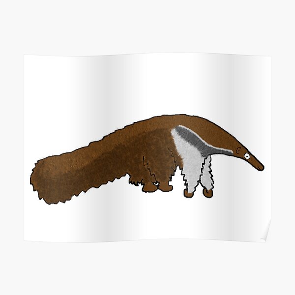 Decoración: De Animados Oso Hormiguero | Redbubble Decoración: De Animados Oso Hormiguero | Redbubble