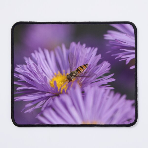 Item preview, Bee on the purple Flower designed and sold by RafaelLima7.