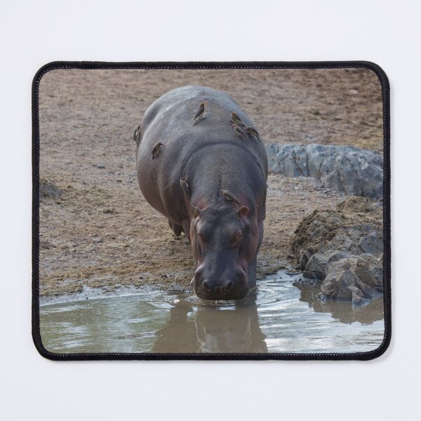 Item preview, Hippo and Red-Billed Oxpeckers designed and sold by Yair Karelic.