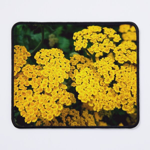 Item preview, Yarrow Plant designed and sold by VanHollowStudio.