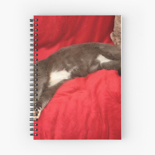 Item preview, Its a Cats Life - Once a Stray designed and sold by AnnDixon.
