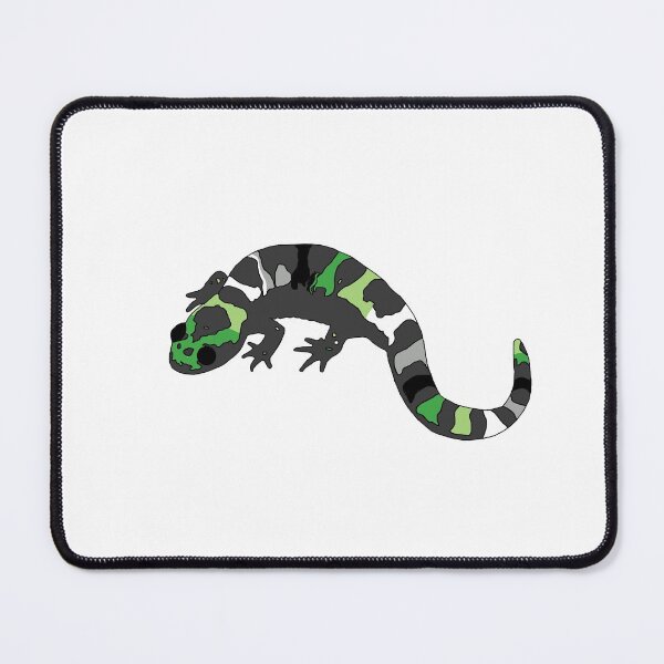 Item preview, Aromantic Pride Salamander designed and sold by VanHollowStudio.