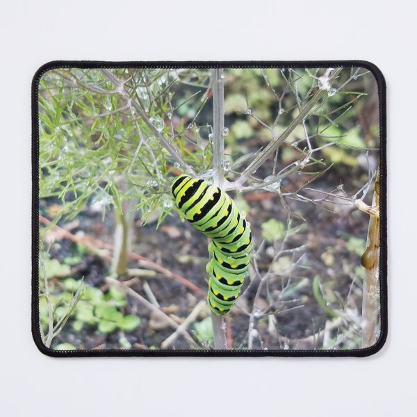 Item preview, Caterpillar  designed and sold by VanHollowStudio.