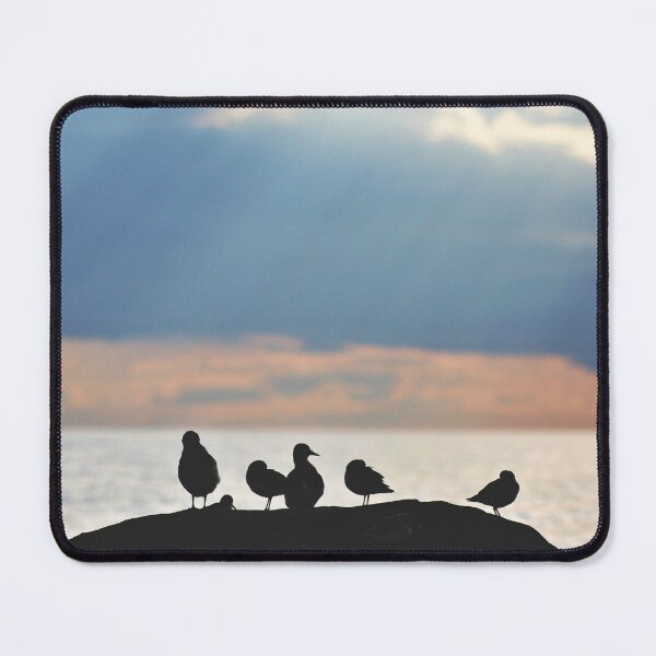 Item preview, Shorebirds in Silhouette designed and sold by Kathleen Daley.