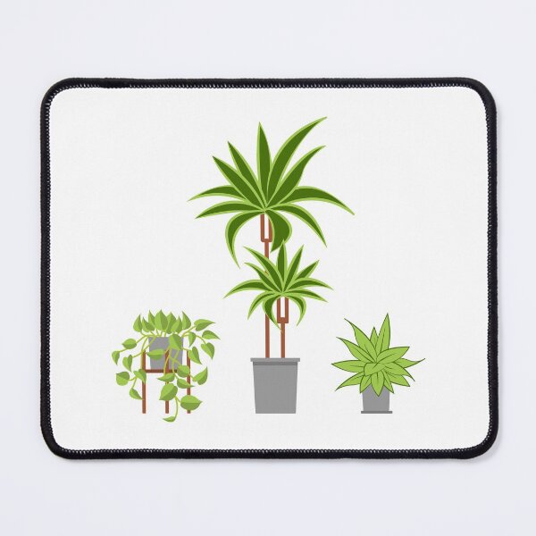 Item preview, 3 illustrated house plants designed and sold by WietskeWelten.