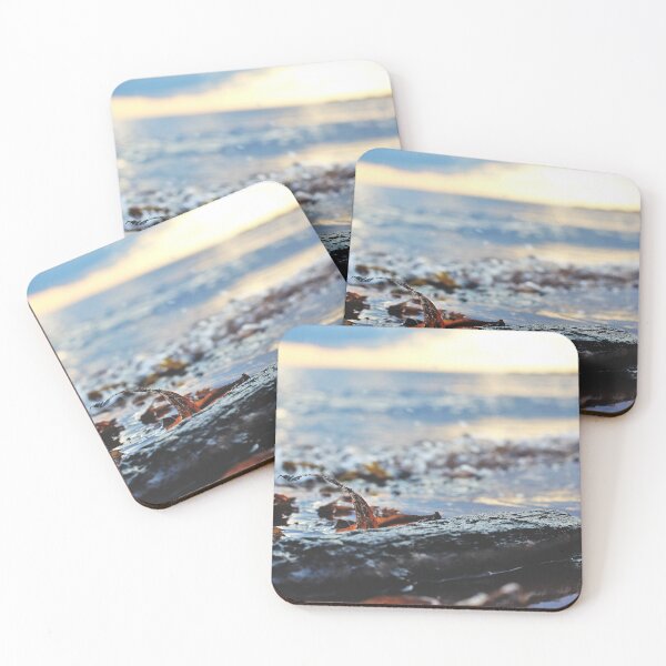 Item preview, Waterlogged Driftwood designed and sold by Kathleen Daley.